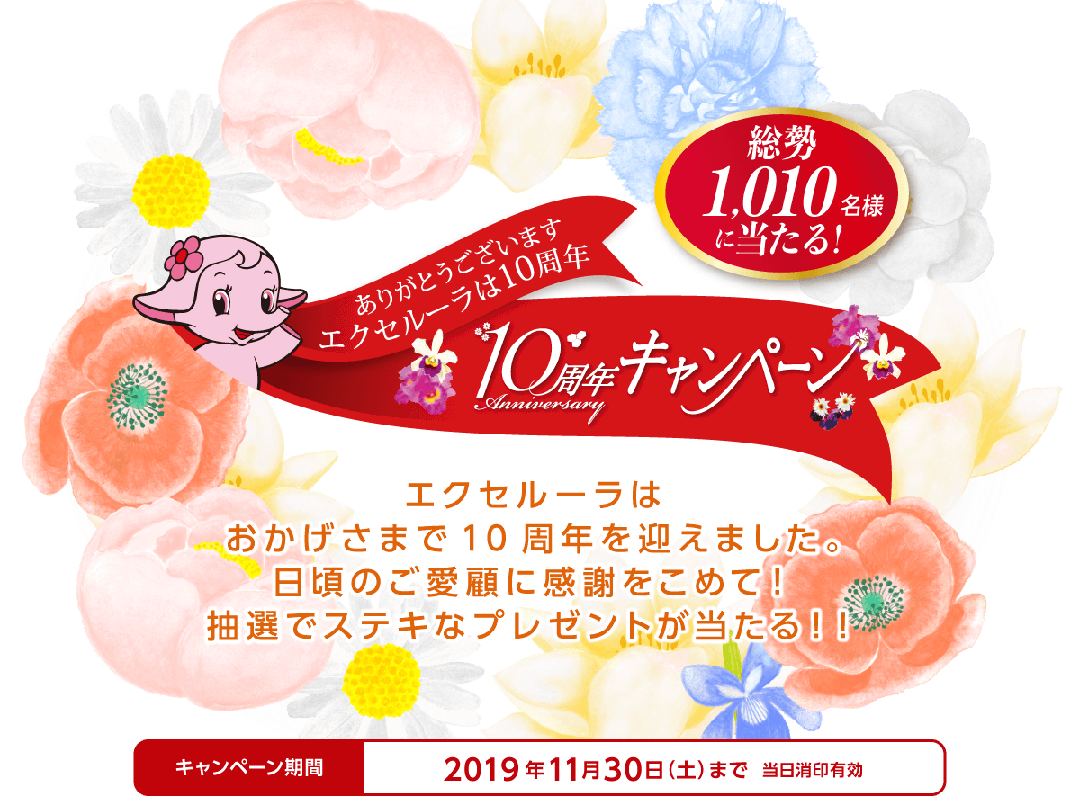 ありがとうございます エクセルーラは10周年　10周年キャンペーン 総勢1,010名様に当たる！