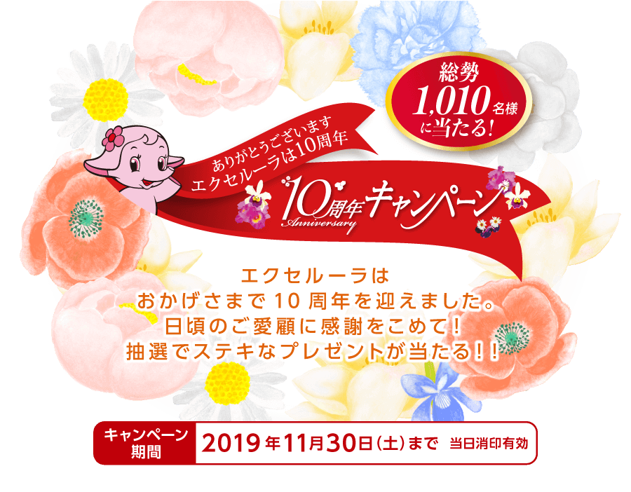 ありがとうございます エクセルーラは10周年　10周年キャンペーン 総勢1,010名様に当たる！