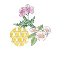 パワーコンプレックス WSP※