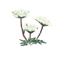 トウキエキス-1