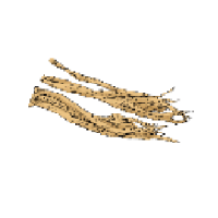 党参抽出物加水分解液