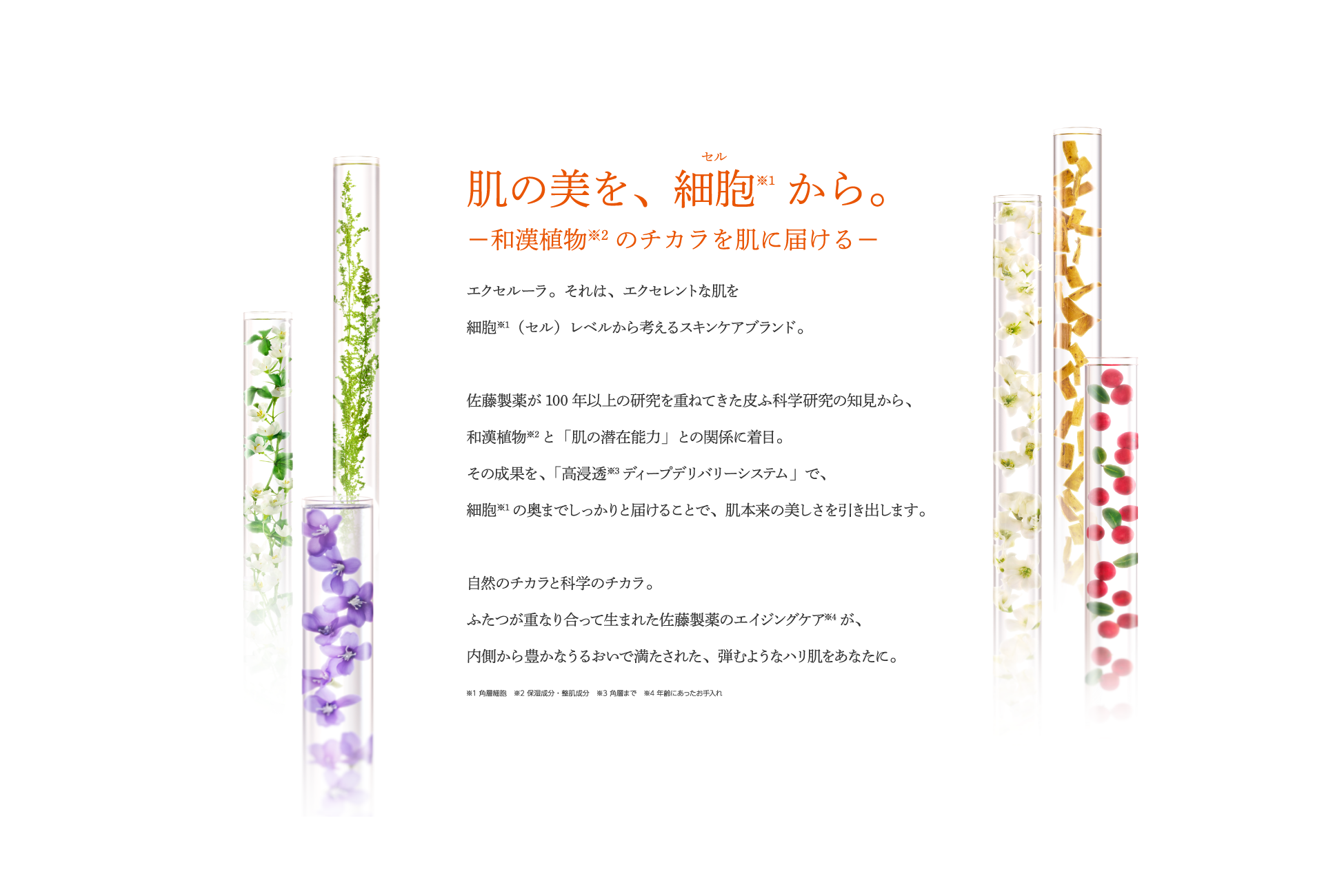 CONCEPT - 製薬会社の技術から生まれたエクセルーラ