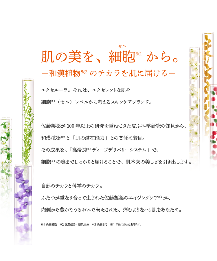 CONCEPT - 製薬会社の技術から生まれたエクセルーラ