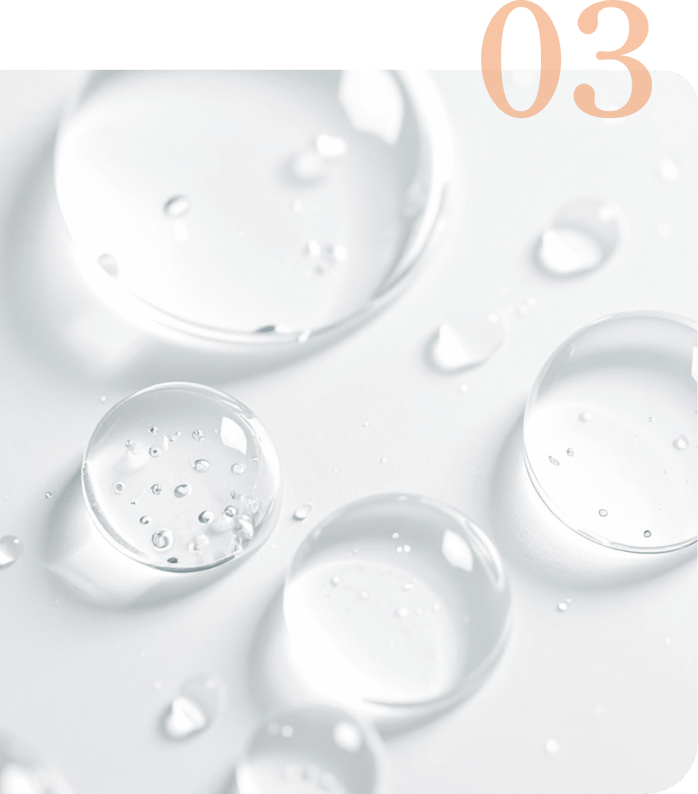 プロテオグリカン