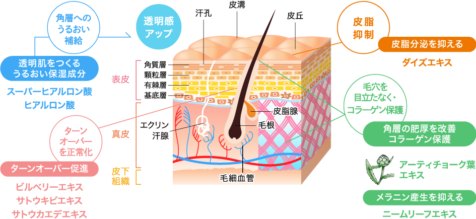 ブライトニングローション