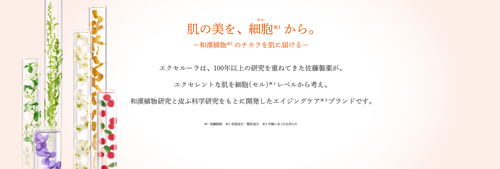 エクセルーラとは