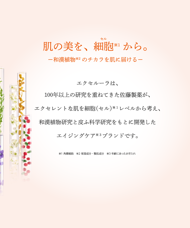 エクセルーラとは