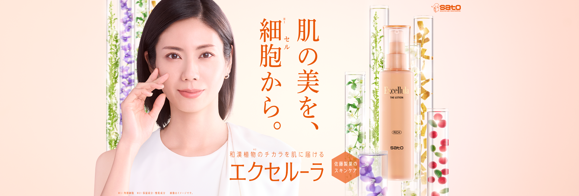 エクセルーラ イメージモデル