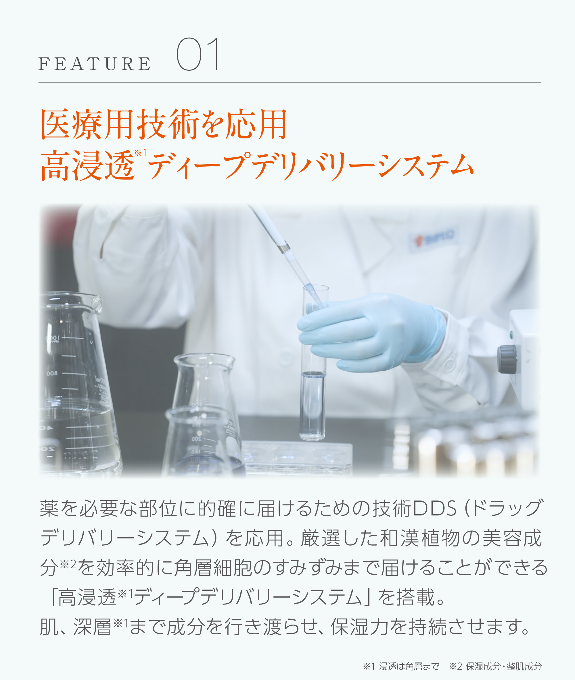 エクセルーラ ザ・ライン