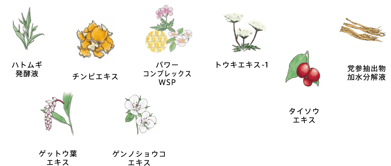 ユンケルで培ったビタミンと和漢植物のブレンド技術で、有効成分を届ける処方へ