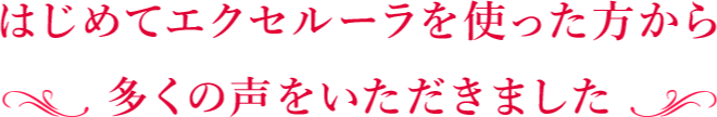 はじめてエクセルーラを使った方から多くの声をいただきました