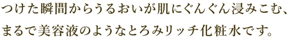 つけた瞬間からうるおいが肌にぐんぐん浸みこむ、まるで美容液のようなとろみリッチ化粧水です。