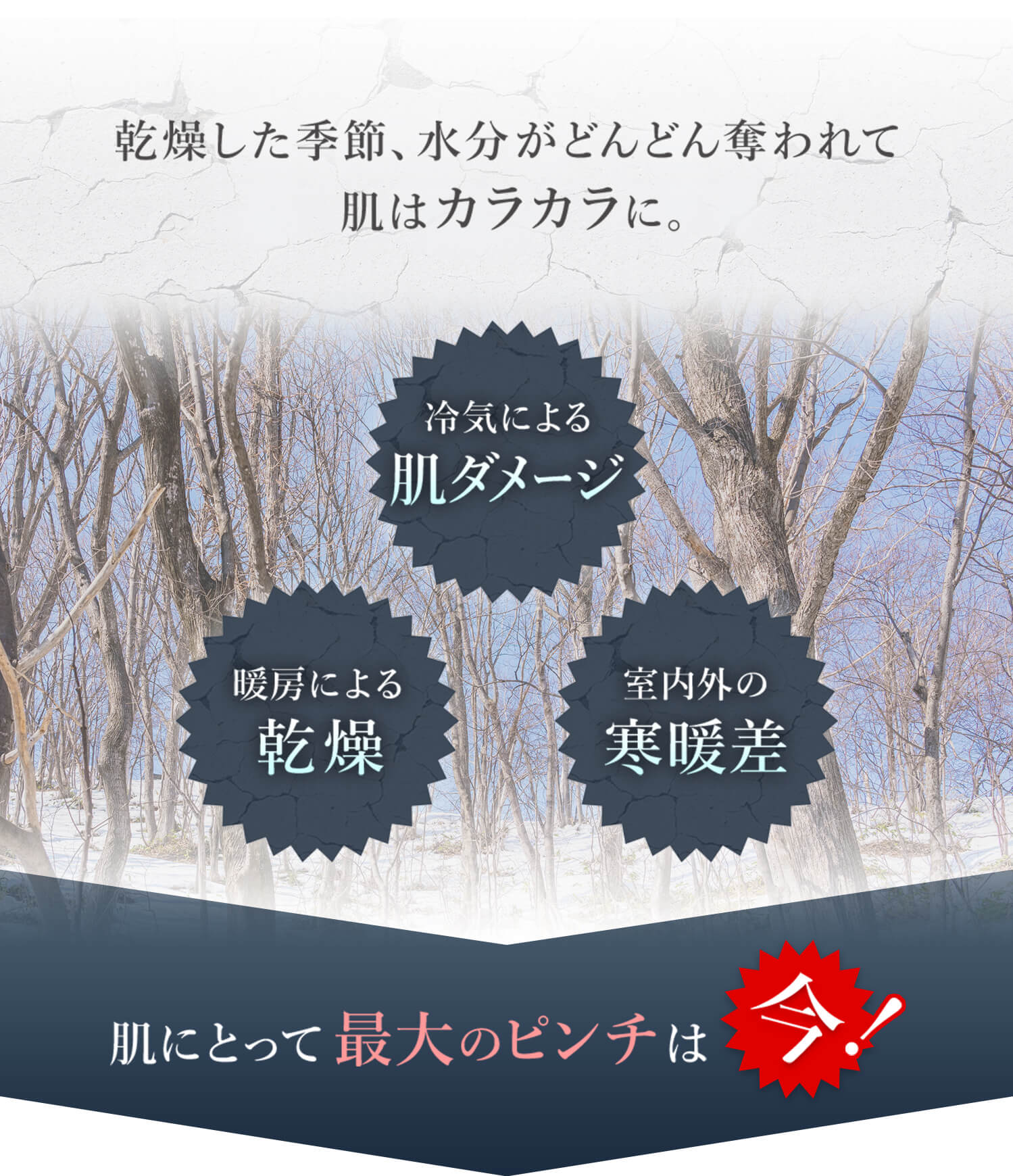 乾燥した季節、水分がどんどん奪われて肌はカラカラに。