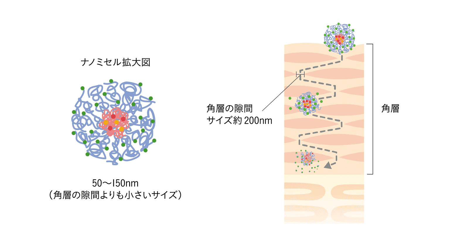 ディープデリバリーシステム