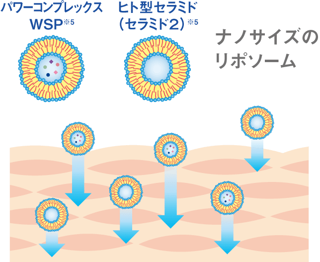 深く届け、巡らせるディープデリバリーシステム